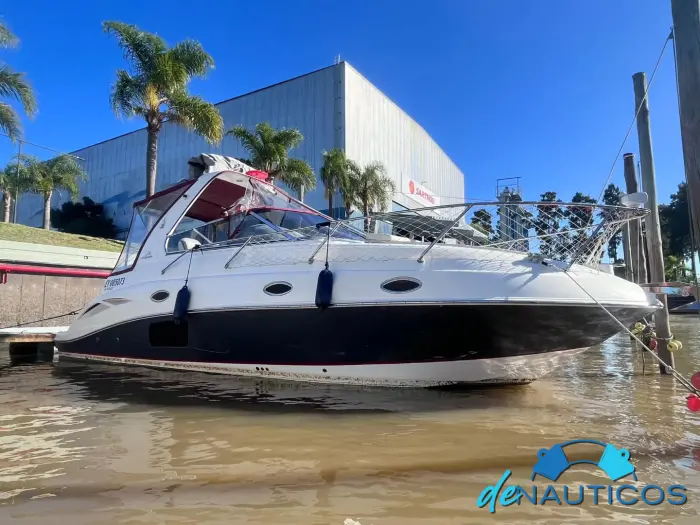 DayCruiser Aqualum 31