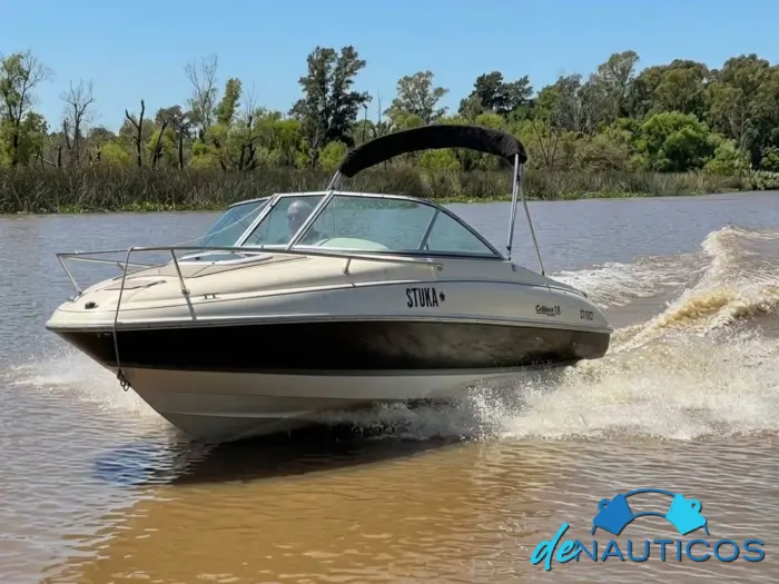 Venta de Lancha Arco iris Eclipse 18 Cuddy   Evinrude E-Tec 130hp 